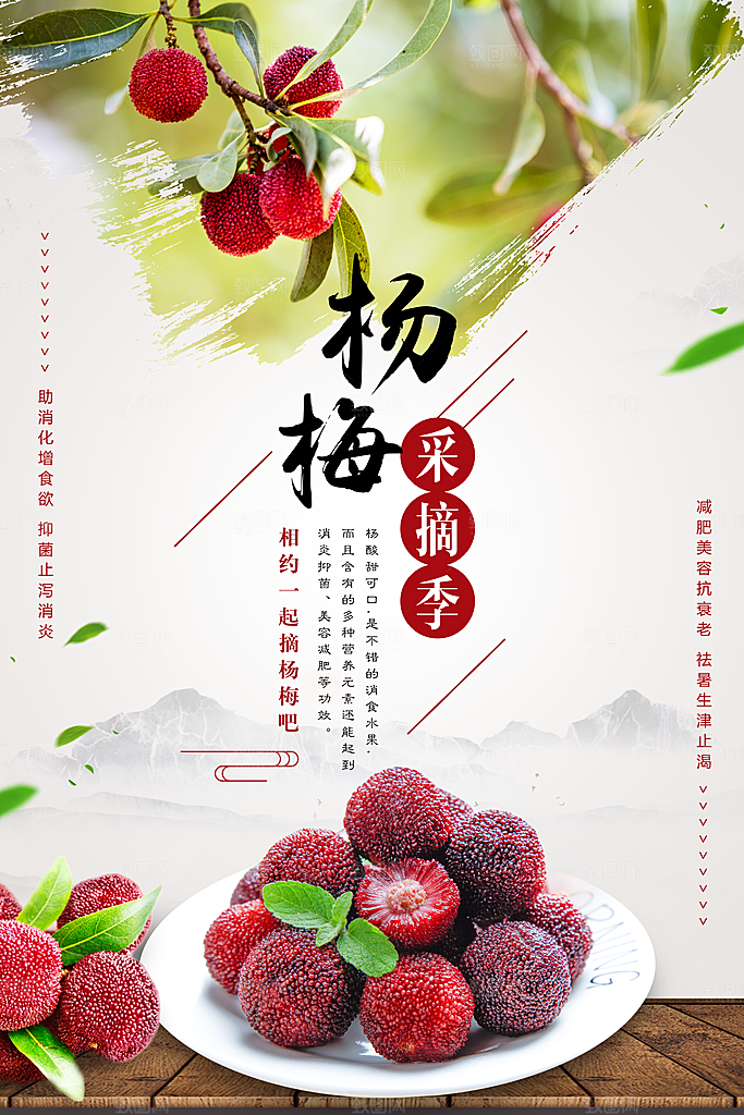 杨梅宣传海报设计素材展板