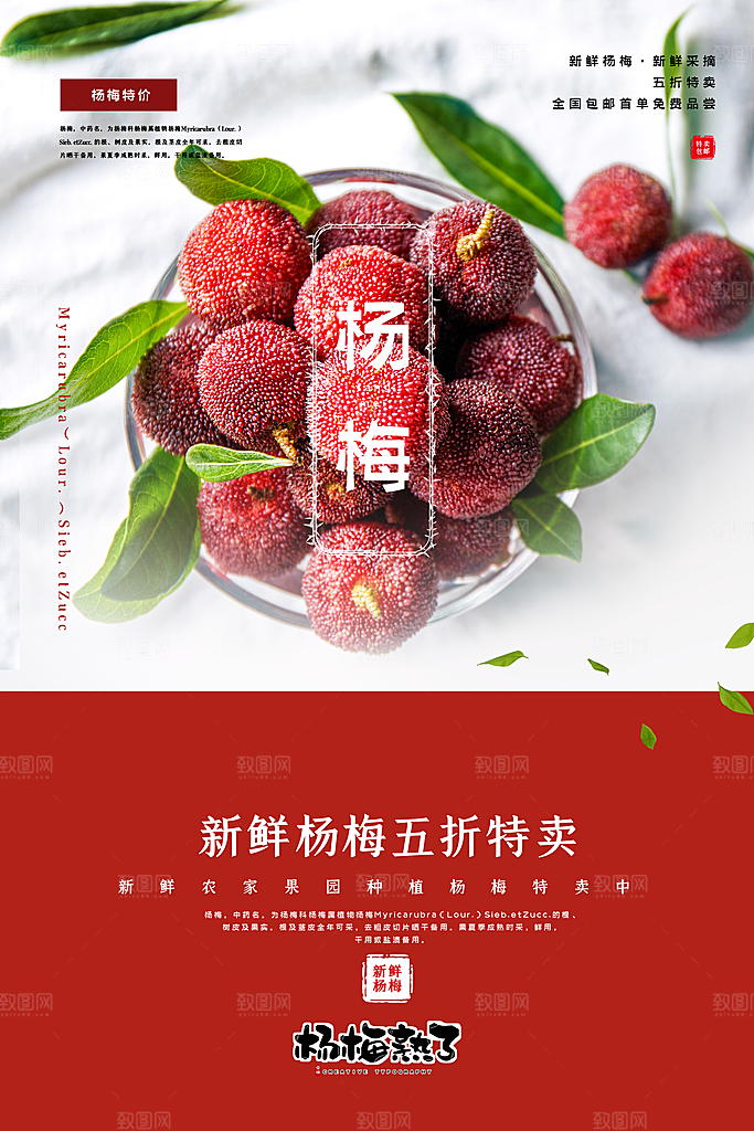 杨梅宣传海报设计素材展板