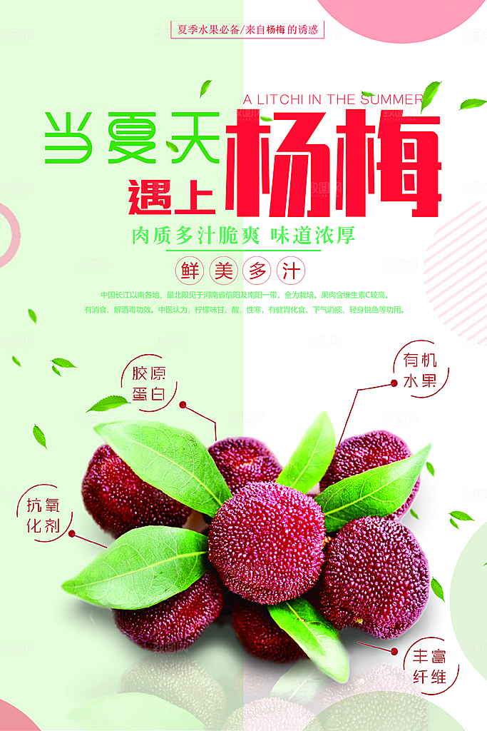 杨梅宣传海报设计素材