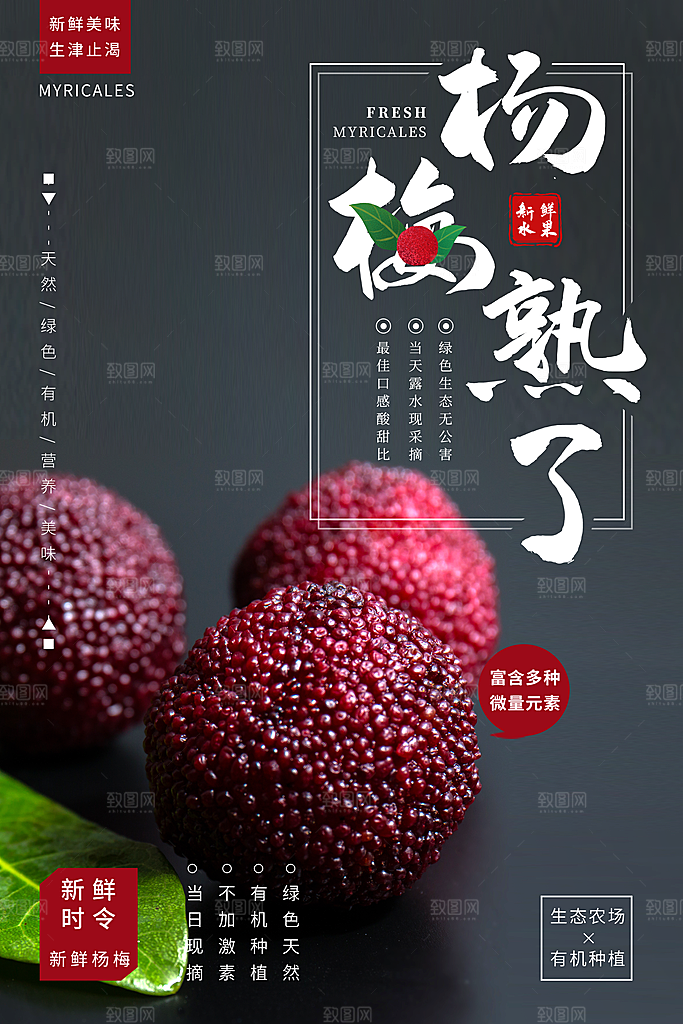 杨梅宣传海报设计素材
