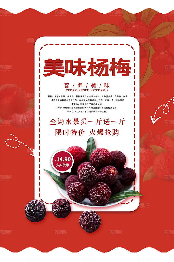 杨梅宣传海报设计素材