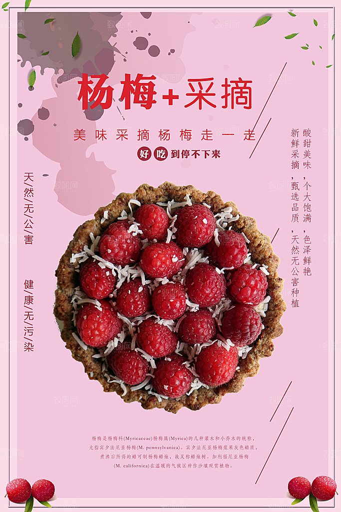 杨梅宣传海报设计素材