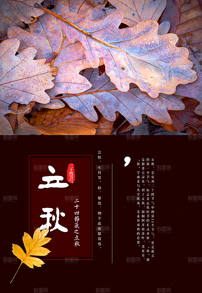 立秋枫叶秋天场景元素大自然创意节气海报