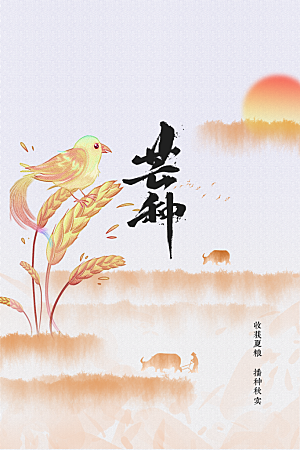 芒种节气传统活动海报