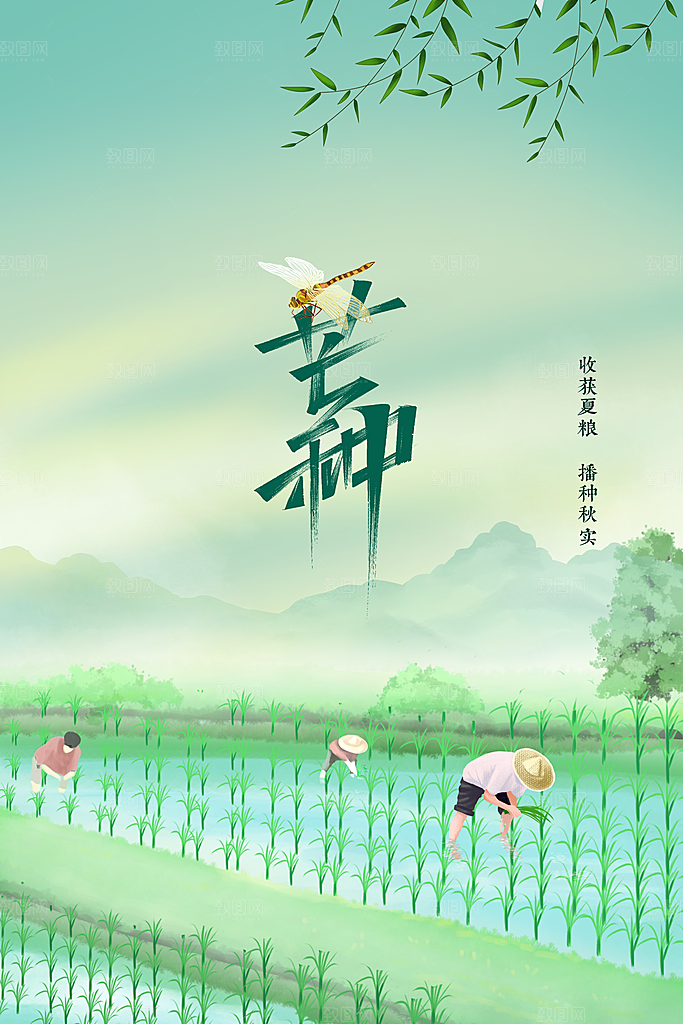芒种节气传统活动海报