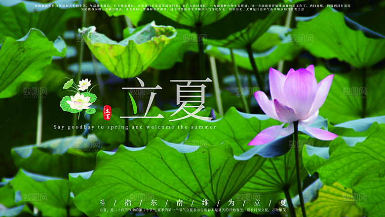 立夏节气简约大气展板