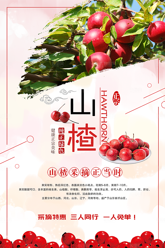 美味新鲜山楂宣传海报