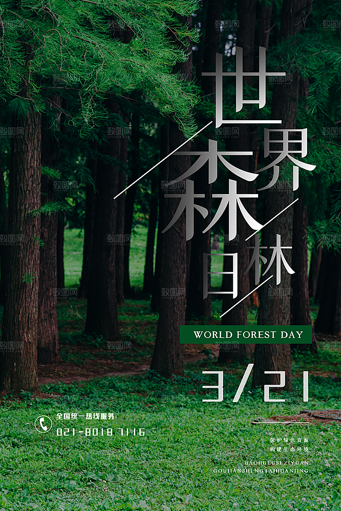 2024年世界森林日宣传海报设计