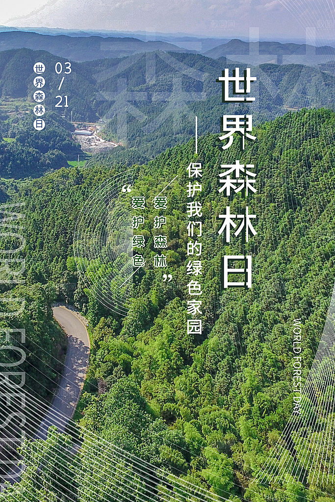 2024年世界森林日宣传海报设计
