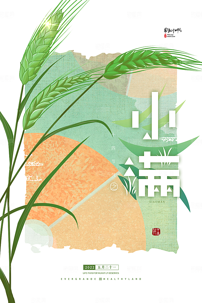 小满节气宣传海报设计素材