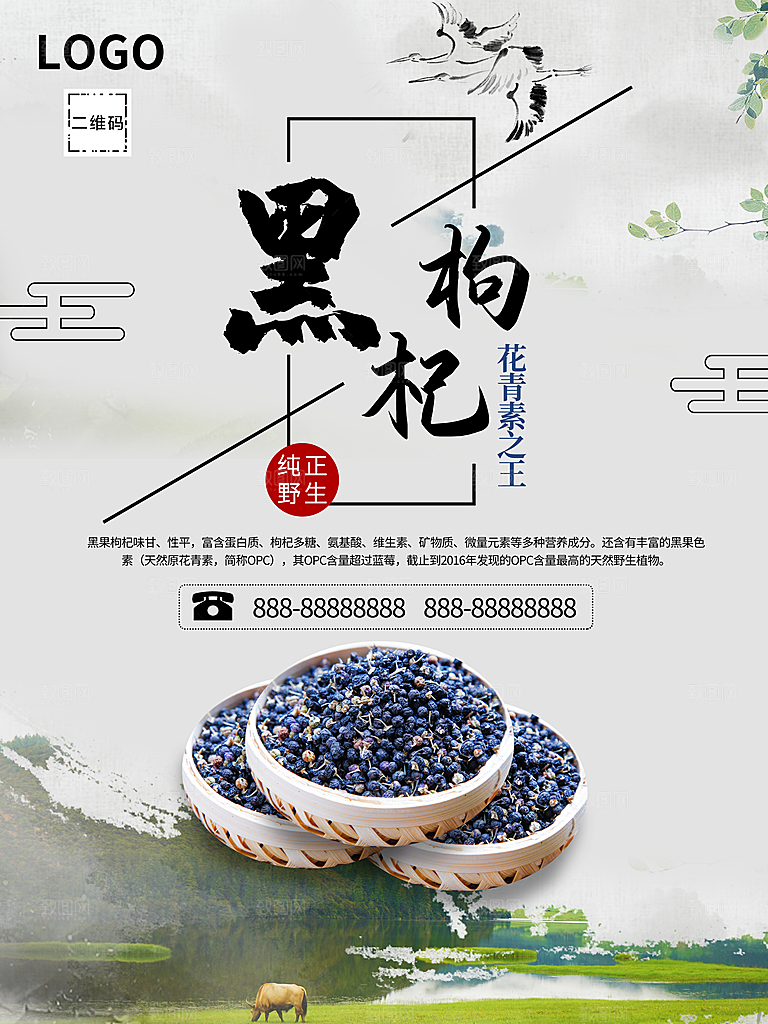 纯正野生黑枸杞海报