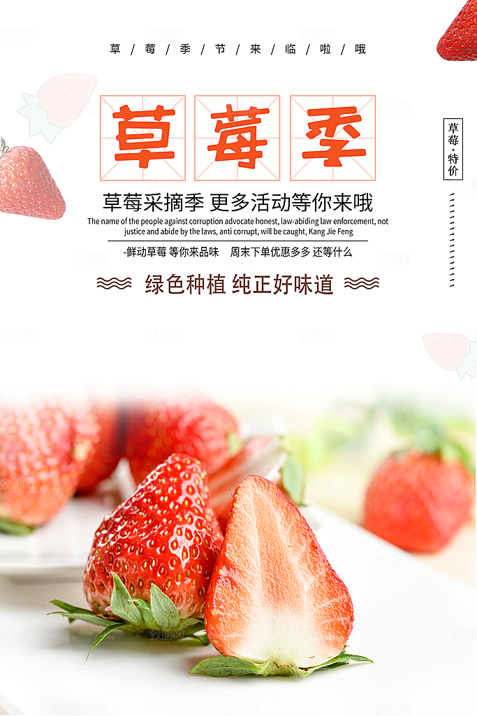 绿色种植草莓采摘