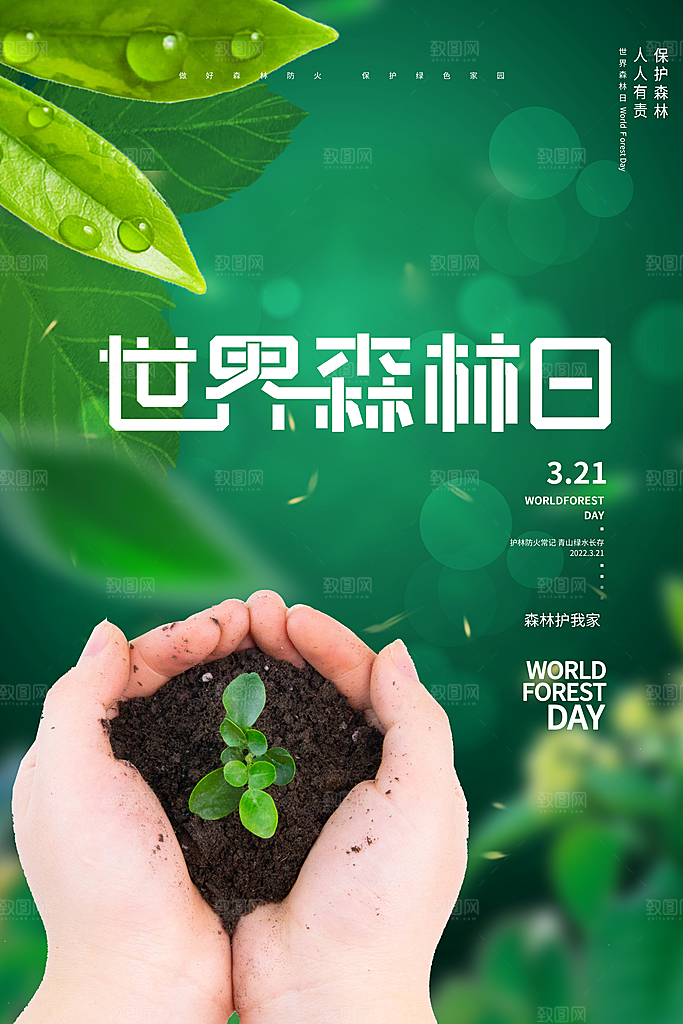 2024年世界森林日宣传海报设计