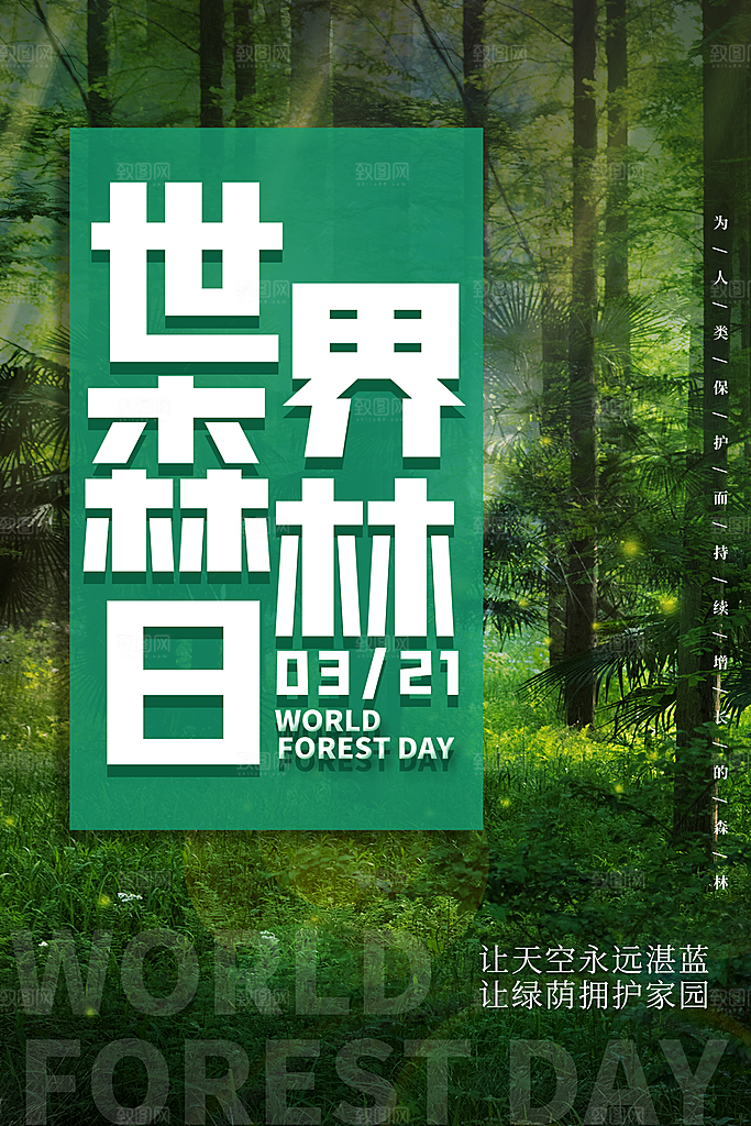 2024年世界森林日宣传海报设计