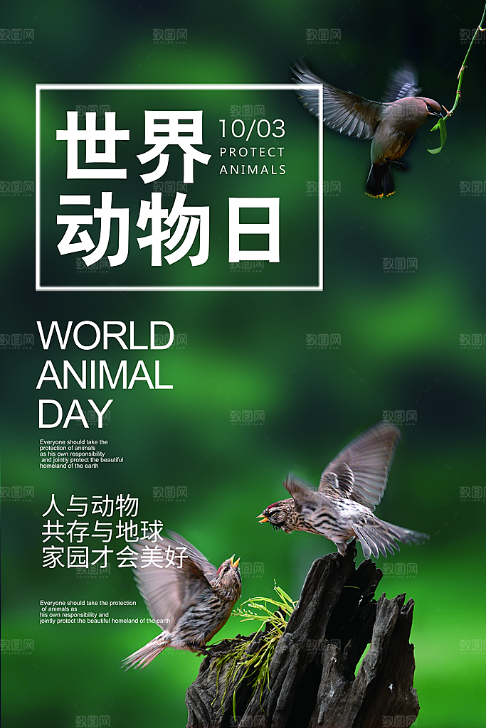 世界动物日宣传海报设计