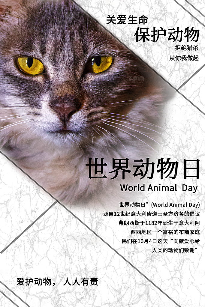 世界动物日宣传海报设计