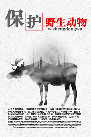 世界动物日宣传海报设计