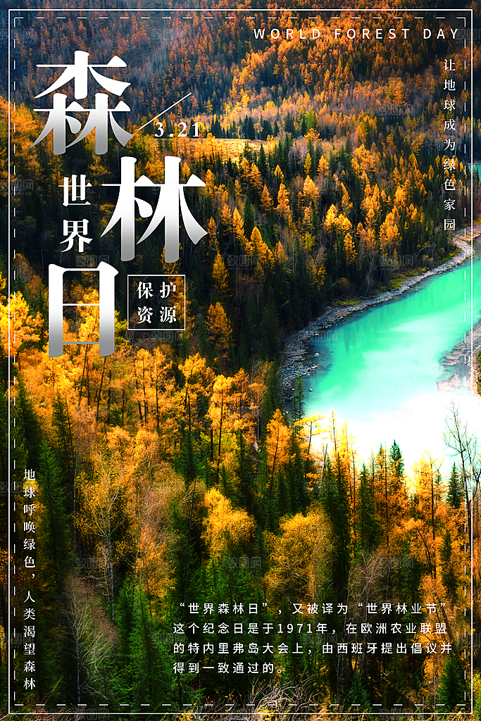 2024年世界森林日宣传海报设计素材