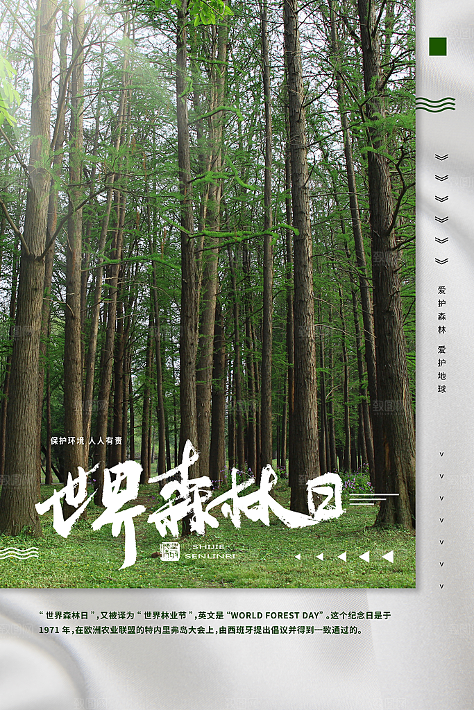 2024年世界森林日宣传海报设计素材