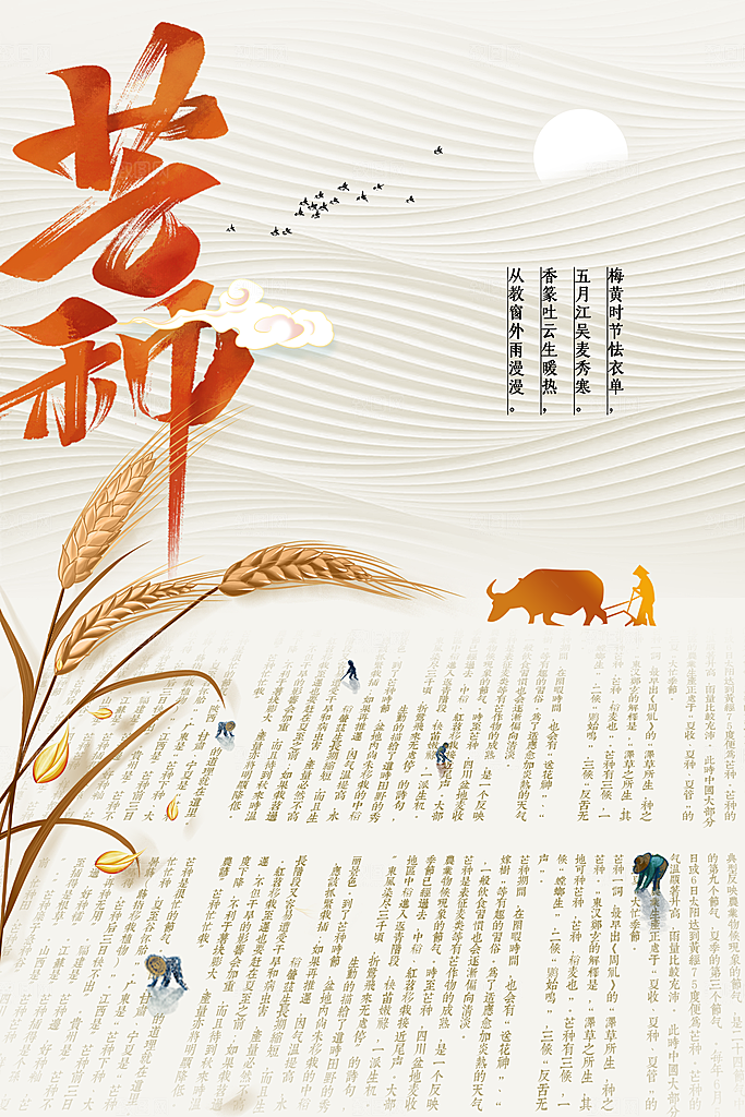 芒种节气传统活动海报