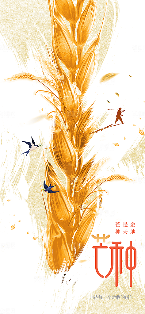 芒种节气传统活动海报