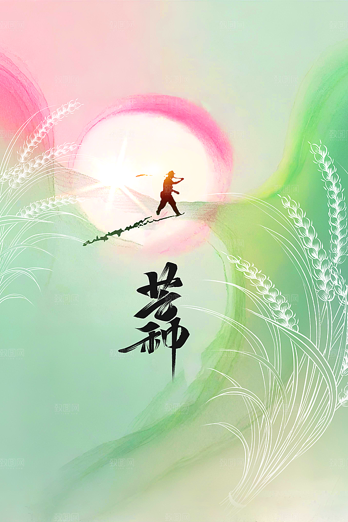 芒种节气传统活动宣传海报