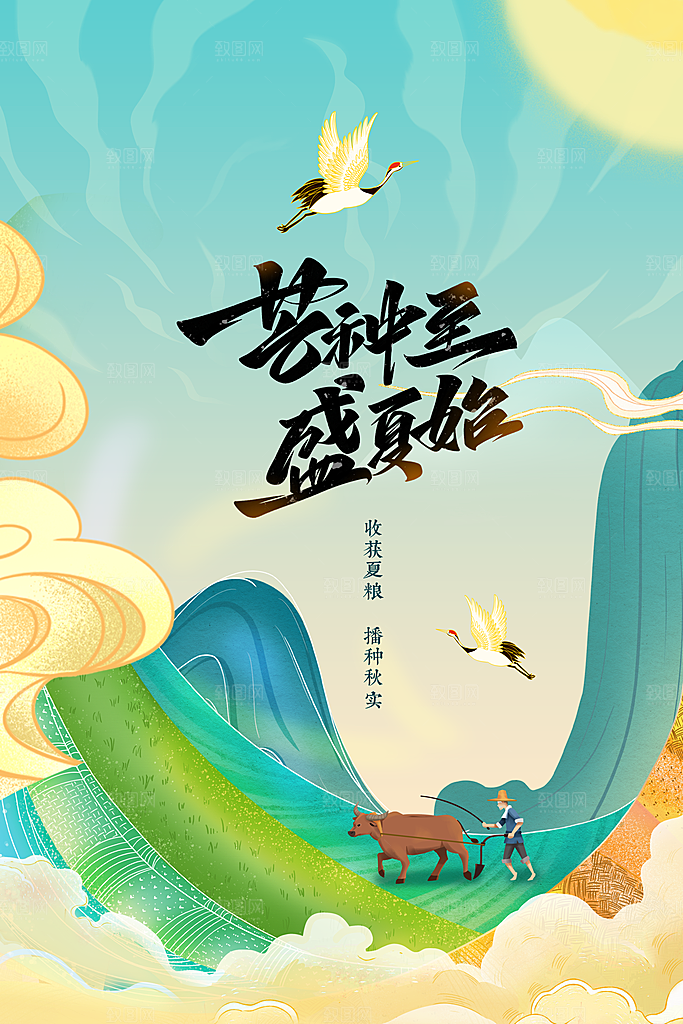 芒种节气传统活动宣传海报