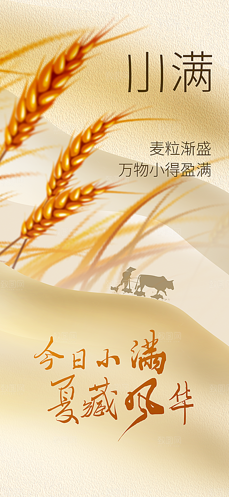 小满节气传统活动宣传海报