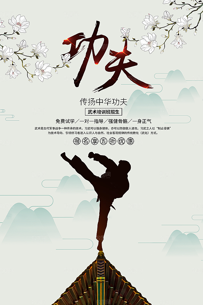 传扬中华功夫海报