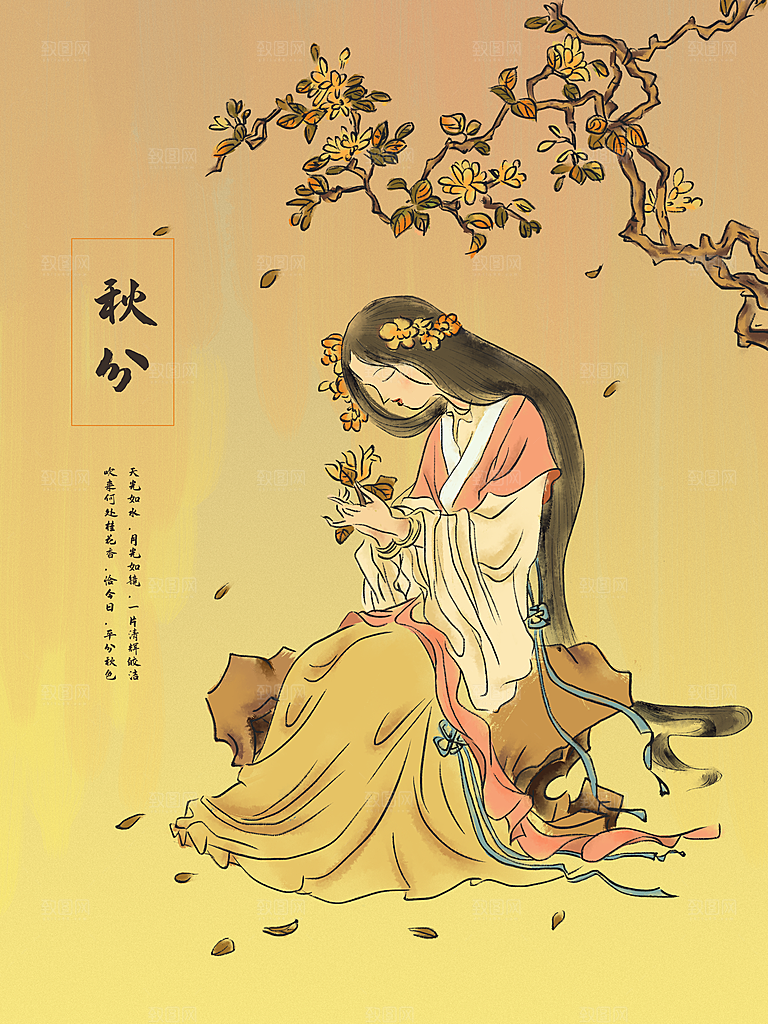 中国传统二十四节气秋分节气海报插画