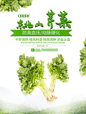 新鲜蔬菜芹菜海报