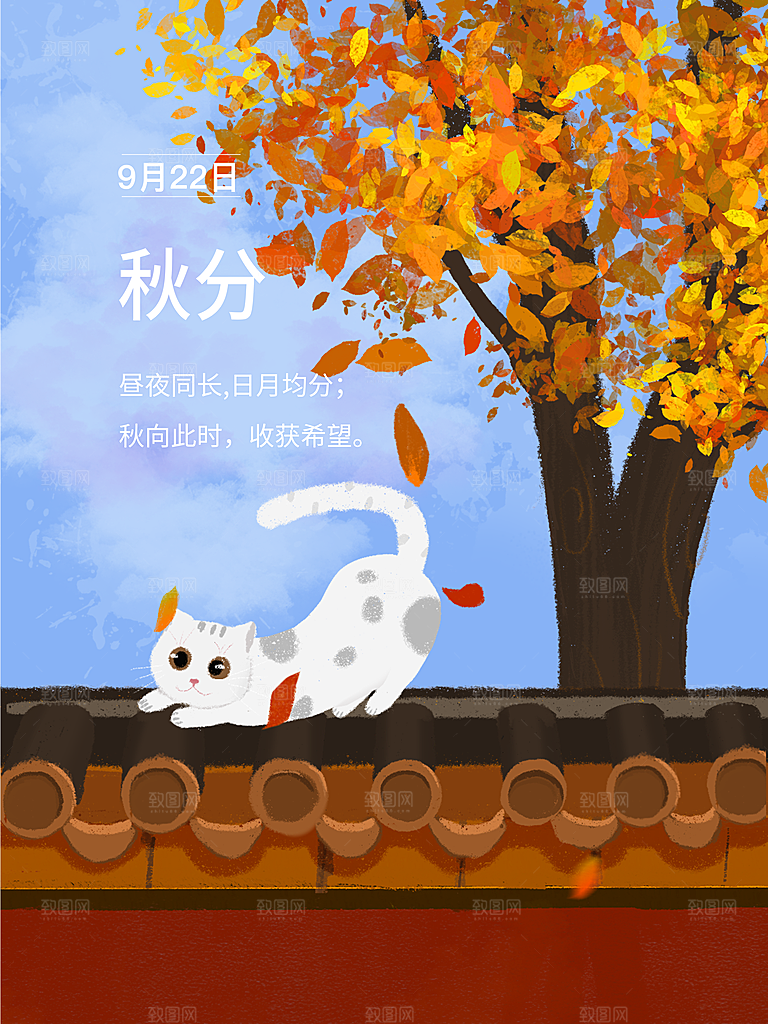 中国传统二十四节气秋分节气海报插画