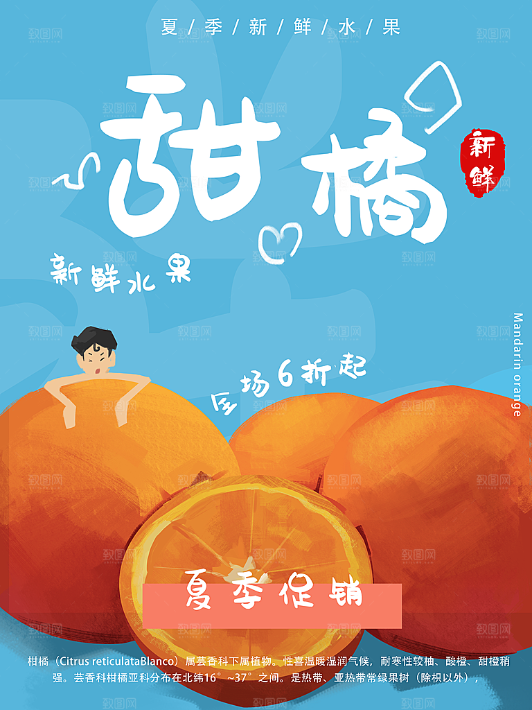 夏日新鲜水果甜橘子