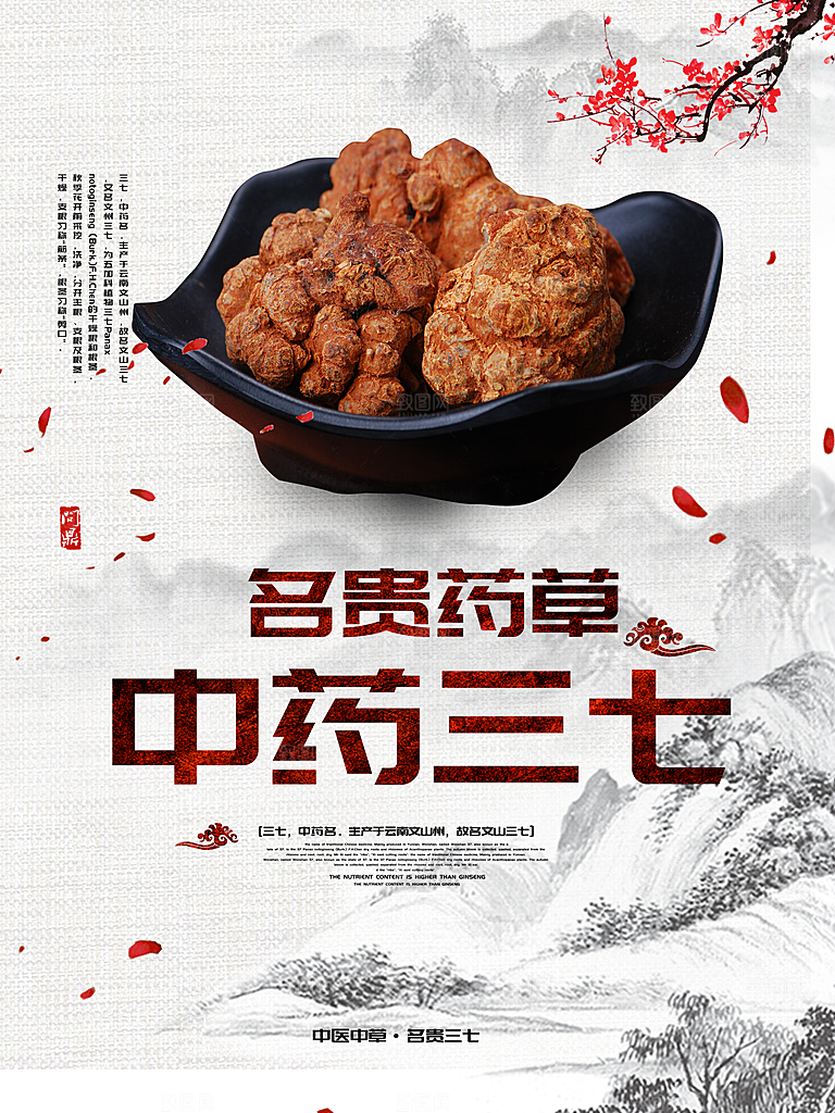 名贵药草中药三七
