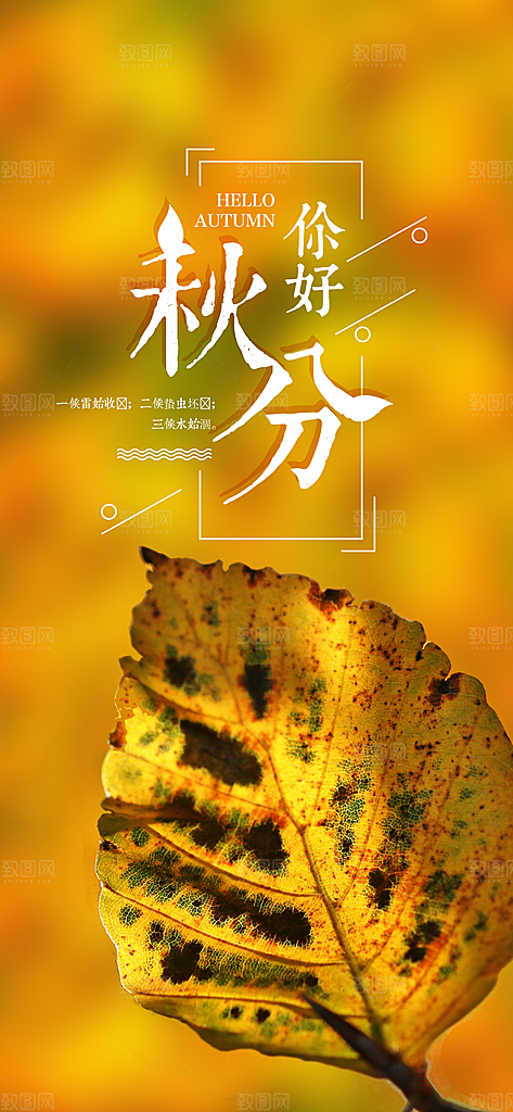 中国传统二十四节气秋分节气海报