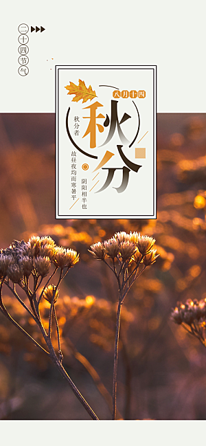 中国传统二十四节气秋分节气海报