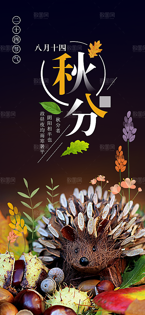 中国传统二十四节气秋分节气海报