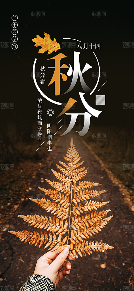 中国传统二十四节气秋分节气海报