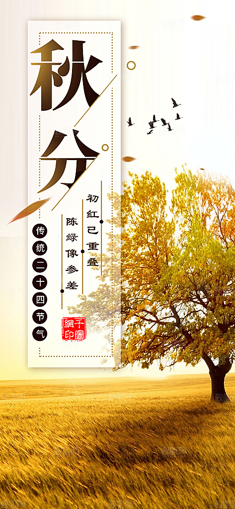 中国传统二十四节气秋分节气海报