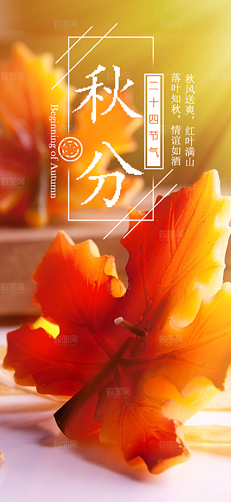 中国传统二十四节气秋分节气海报