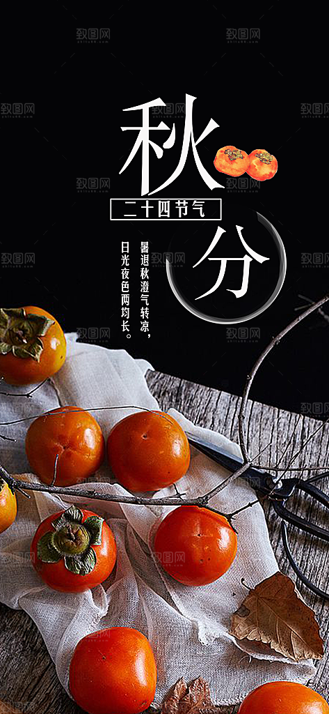 中国传统二十四节气秋分节气海报