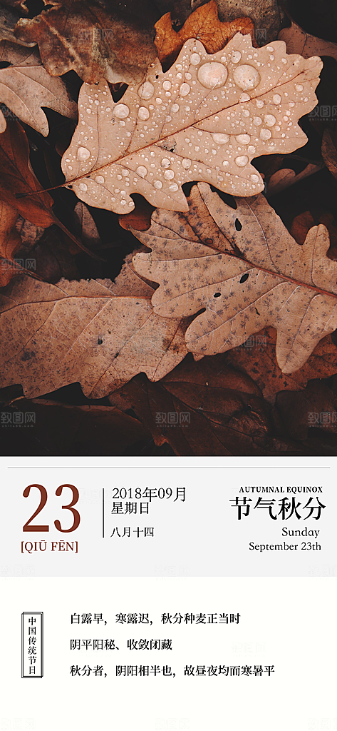 中国传统二十四节气秋分节气海报