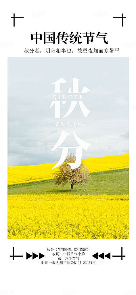 中国传统二十四节气秋分节气海报