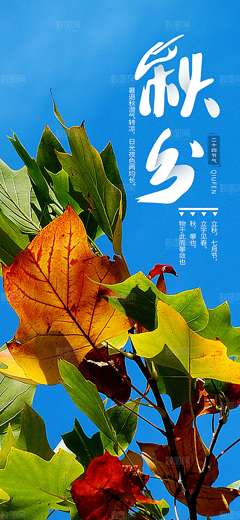 中国传统二十四节气秋分节气海报