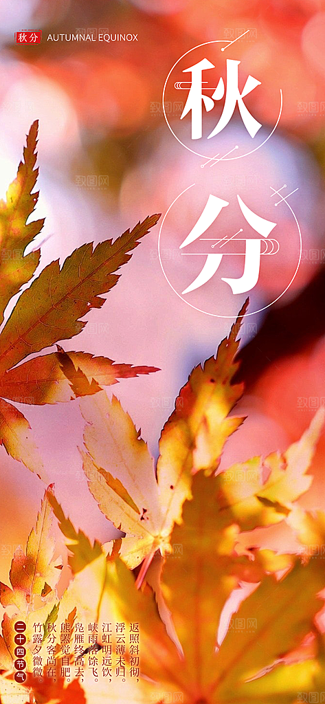 中国传统二十四节气秋分节气海报