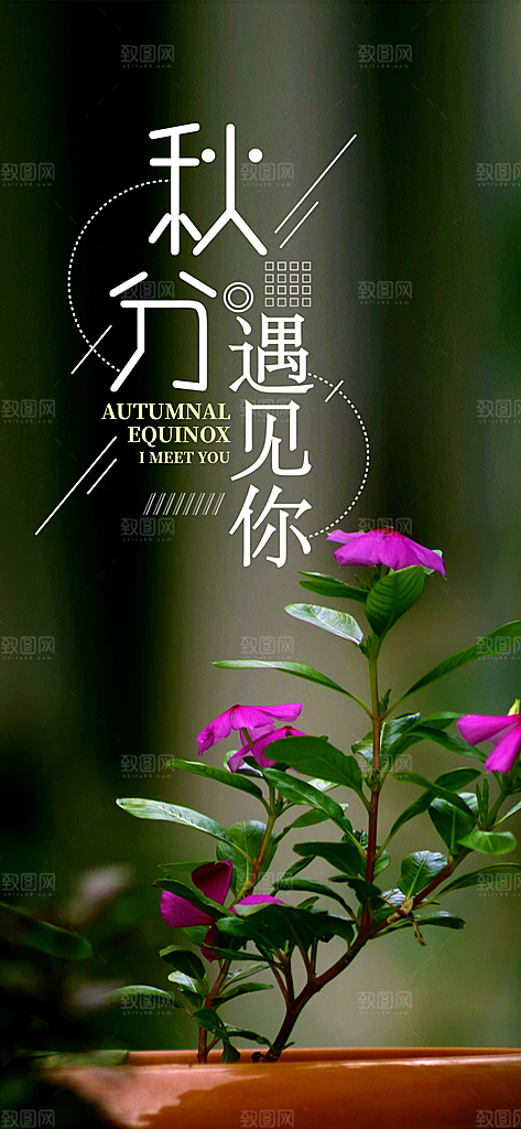 中国传统二十四节气秋分节气海报