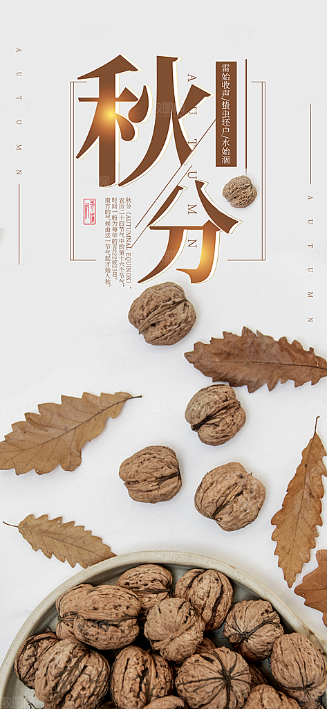 中国传统二十四节气秋分节气海报