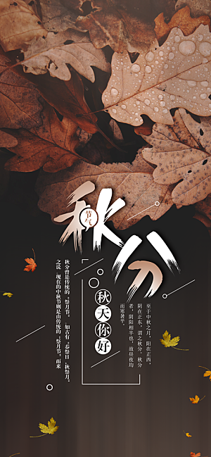 中国传统二十四节气秋分节气海报