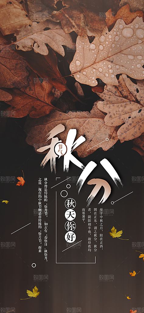 中国传统二十四节气秋分节气海报