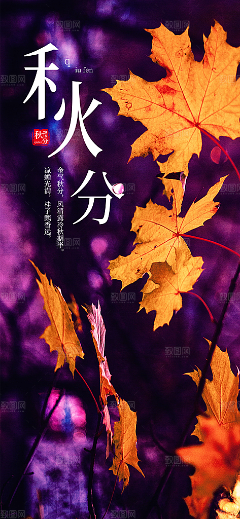 中国传统二十四节气秋分节气海报